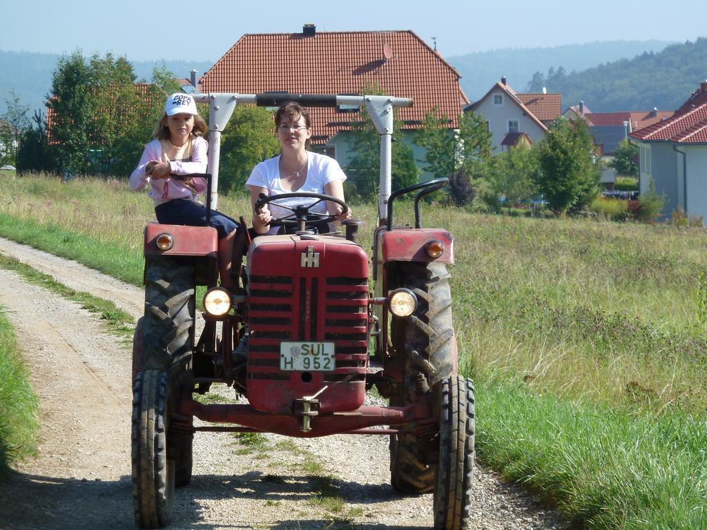 Готель Landgasthof Zum Elsabauern Konigstein in der Oberpfalz Екстер'єр фото